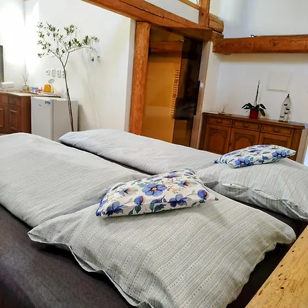 Jilova Tvrz Apartament *