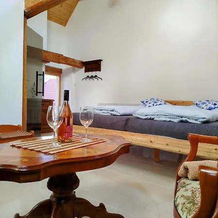 Apartament Jilova Tvrz *